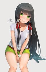  1girl absurdres alternate_costume black_hair breasts green_eyes green_shorts hair_ribbon hair_tubes highres kantai_collection long_hair low-tied_long_hair mizuho_(kancolle) mmk red_ribbon ribbon shirt short_shorts short_sleeves shorts sidelocks small_breasts solo t-shirt very_long_hair white_shirt 