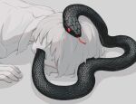  1boy absurdres avogado6 collared_shirt commentary_request covered_eyes facing_viewer hair_over_eyes highres lying male_focus on_stomach open_mouth original shirt snake snake_in_mouth solo white_hair white_shirt wing_collar 