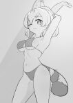  1girl absurdres animal_ears armpits arms_up bangs bikini bob_cut breasts cat_ears cat_tail chis_(js60216) closed_mouth commentary_request eyebrows_visible_through_hair greyscale highres kemono_friends looking_at_viewer medium_breasts monochrome navel one_eye_closed serval_(kemono_friends) short_hair smile solo standing stretch string_bikini striped_tail swimsuit tail 