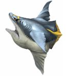  gills pokemon realistic shark sharpedo simple_background 