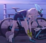 1girl animal_ear_fluff animal_ears bangs bent_over bicycle black_bag black_shirt black_shorts blue_archive cat commentary_request cutout_gloves cycling_uniform full_body gloves grey_hair ground_vehicle hair_ornament halo highres long_hair looking_at_animal morning ocean outdoors road shiroko_(blue_archive) shiroko_(cycling)_(blue_archive) shirt shorts sidelocks solo stretch t-shirt x_hair_ornament yellow_gloves ytmkz 