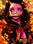  1girl anaglyph autumn autumn_leaves black_hair japanese_clothes kamado_nezuko kimetsu_no_yaiba kimono leaf long_hair looking_away mouth_hold nyamunekonabe pink_eyes sparkle upper_body 