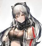  1girl absurdres animal_ears arknights bangs bikini black_bikini black_scarf cat_ears cat_girl closed_mouth commentary english_commentary expressionless grey_background grey_hair highres long_hair looking_at_viewer mkt_(pixiv15187870) ponytail scarf schwarz_(arknights) see-through_sleeves solo swimsuit upper_body yellow_eyes 