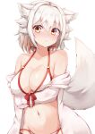  1girl animal_ear_fluff animal_ears bikini blush breasts closed_mouth collarbone commentary_request crossed_arms inubashiri_momiji large_breasts multicolored multicolored_eyes navel red_eyes rururiaru short_hair simple_background solo swimsuit tail touhou white_background white_bikini white_hair wolf_ears wolf_girl wolf_tail yellow_eyes 