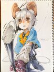  1girl animal_ears belt black_belt blue_capelet brown_eyes capelet dress gloves grey_hair highres holding looking_at_viewer mouse_ears mouse_tail nazrin parted_lips photo_(medium) purple_dress red_gloves reiga_(act000) solo tail touhou traditional_media wide-eyed 