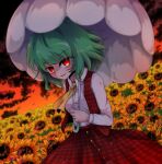  1girl blood blood_on_clothes blood_on_face blood_on_hands blurry blurry_background breasts buttons collared_shirt eyebrows_visible_through_hair field flower flower_field glowing glowing_eyes green_hair highres holding holding_umbrella kazami_yuuka looking_at_viewer medium_breasts medium_hair motion_blur open_mouth outdoors red_skirt red_sky red_vest shen_li shirt skirt skirt_set sky solo sunflower sunflower_petals touhou umbrella vest white_shirt yellow_neckwear 