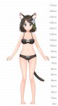  1girl aina_(mao_lian) animal_ear_fluff animal_ears arms_at_sides bare_arms bare_legs bare_shoulders barefoot blue_eyes bow bow_bra bow_panties bra breasts brown_bra brown_hair brown_panties cat_ears cat_tail closed_mouth full_body height_chart highres looking_at_viewer mao_lian_(nekokao) medium_breasts medium_hair navel original panties pigeon-toed smile solo standing tail underwear underwear_only white_bow 