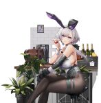  1girl absurdres alcohol animal_ears azur_lane bar black_gloves black_legwear breasts crossed_legs elbow_gloves fake_animal_ears gloves grey_hair highres large_breasts looking_at_viewer official_art pandea_work pantyhose plant playboy_bunny potted_plant rabbit_ears reno_(azur_lane) reno_(reno_bunnino)_(azur_lane) sideboob single_elbow_glove sitting sleeveless solo thigh_strap violet_eyes wrist_cuffs 