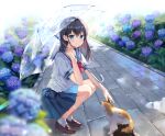  1girl bangs black_hair blue_eyes blue_sailor_collar blue_skirt brown_footwear cat closed_mouth flower hair_between_eyes hydrangea long_hair looking_at_viewer mayo_(miyusa) original pleated_skirt puddle rain red_eyes sailor_collar school_uniform serafuku shirt skirt smile socks solo squatting symbol-only_commentary transparent transparent_umbrella umbrella white_legwear white_shirt 