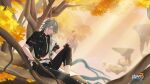  1boy artist_request autumn_leaves bangs black_jacket black_pants black_shirt branch closed_eyes closed_mouth floating grey_hair hand_in_pocket highres honkai_(series) honkai_impact_3rd jacket leaf long_hair pants shirt short_sleeves sitting solo source_request stu_(honkai_impact) third-party_source tree 