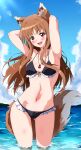  1girl :d absurdres animal_ear_fluff animal_ears armpits arms_behind_head bangs bikini black_bikini blue_sky blunt_bangs blush breasts brown_hair clouds day eggman_(pixiv28975023) eyebrows_visible_through_hair highres holo long_hair looking_at_viewer medium_breasts navel ocean open_mouth partially_submerged pouch red_eyes sky smile solo spice_and_wolf summer swimsuit tail upper_teeth water wolf_ears wolf_girl wolf_tail 