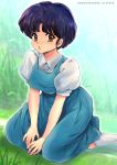  1girl :&lt; bangs blouse blue_dress blue_hair blush breasts brown_eyes dress grass hands_on_lap looking_at_viewer looking_to_the_side medium_breasts nose_blush on_ground outdoors oyaman parted_lips pinafore_dress puffy_short_sleeves puffy_sleeves ranma_1/2 short_hair short_sleeves sitting socks solo tendou_akane v_arms wariza watermark web_address white_blouse white_legwear 
