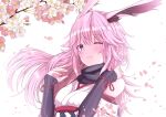  1girl animal_ears bangs bare_shoulders batta-1225 blush branch cherry_blossoms closed_mouth fox_ears hair_between_eyes honkai_(series) honkai_impact_3rd japanese_clothes looking_at_viewer one_eye_closed petals pink_hair simple_background solo violet_eyes white_background yae_sakura yae_sakura_(gyakushinn_miko) 