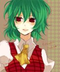  amayoikazuto argyle argyle_background ascot blush bust character_name green_hair kazami_yuuka light_smile lips plaid_vest puffy_sleeves red_eyes touhou 