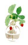  artist_name blending bud chromatic_aberration food fruit hirasawa_minami leaf no_humans no_lineart original partially_immersed plant refraction simple_background still_life strawberry transparent vase water white_background 