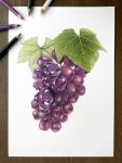  abe_yuichiro absurdres amethyst_(gemstone) colored_pencil_(medium) food fruit grapes highres leaf no_humans original photo_(medium) plant simple_background traditional_media white_background 