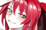  1girl atelier_live blush buttoniris close-up green_eyes kuzuryu_io looking_at_viewer parted_lips ponytail portrait redhead simple_background slit_pupils smile solo white_background 