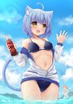  2girls absurdres ahoge animal_ear_fluff animal_ears atlanta_(warship_girls_r) bikini blue_bikini blue_hair blue_sky bottle brand_name_imitation breasts cat_ears cat_tail clouds day highres holding holding_bottle multiple_girls navel outdoors short_hair sky small_breasts solo_focus standing swimsuit tail wading warship_girls_r william.b yellow_eyes 