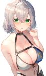  1girl bikini blush breasts collarbone commentary_request eyebrows_visible_through_hair green_eyes hair_between_eyes hand_up highres hololive large_breasts looking_at_viewer navel shirogane_noel silver_hair simple_background solo swimsuit two-tone_bikini virtual_youtuber warayanuko white_background 