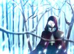  1boy archbishop_(ragnarok_online) bangs bare_tree black_coat black_eyes brown_cloak cloak closed_mouth coat commentary_request cropped_jacket cross cross_necklace forest heterochromia hood hood_up hooded_cloak horned_hood horns inverted_cross jacket jewelry looking_at_viewer male_focus mit_(necomit) nature necklace ragnarok_online red_eyes short_hair snowing solo tree upper_body white_hair white_jacket winter 