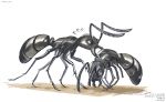  animal animal_focus ant bug death encyclopedia_of_living_things flying_sweatdrops highres insect nishimawari_kouro no_humans official_art simple_background white_background 