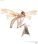  animal animal_focus bug encyclopedia_of_living_things flying hangingfly highres insect moth motion_lines nishimawari_kouro no_humans official_art sad simple_background white_background 