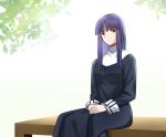  1girl asagami_fujino bangs black_dress blunt_bangs breasts closed_mouth commentary_request dress eyebrows_visible_through_hair hands_together highres kara_no_kyoukai light_smile long_hair long_sleeves looking_at_viewer medium_breasts neckerchief outdoors plant purple_hair red_eyes reien_girl&#039;s_academy_uniform rio0237 school_uniform sidelocks sitting smile solo straight_hair uniform white_neckwear wooden_bench 