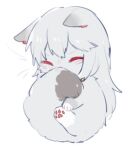  1girl :3 animal_ears animalization arknights biting cat cat_ears cat_tail closed_eyes closed_mouth curled_up grey_fur hug no_humans simple_background sleeping smile solo specter_(arknights) symbol-only_commentary tail tail_biting white_background zhu_mianzi 