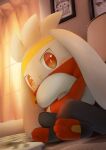  blush bright_pupils closed_mouth commentary_request curtains from_below gen_8_pokemon highres indoors looking_at_viewer no_humans photo_(object) pokemon pokemon_(creature) purobe raboot red_eyes scorbunny sitting smile toes white_pupils 