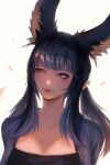  1girl animal_ears bangs black_hair blush brown_eyes commission earrings eyebrows_visible_through_hair final_fantasy final_fantasy_xiv gweni jewelry long_hair looking_at_viewer petals rabbit_ears smile solo upper_body viera white_background 