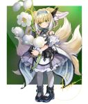  1girl animal_ears arknights black_footwear black_gloves blonde_hair blue_hairband boots border closed_mouth commentary_request dress earpiece eyebrows_visible_through_hair flower fox_ears fox_girl fox_tail full_body gloves green_background green_eyes hairband highres holding holding_flower infection_monitor_(arknights) kyuubi looking_at_viewer multicolored_hair multiple_tails off-shoulder_dress off_shoulder oripathy_lesion_(arknights) oversized_flowers pandm pantyhose purple_dress short_sleeves single_glove smile solo suzuran_(arknights) tail two-tone_dress two-tone_hair white_border white_dress white_flower white_hair white_legwear wrist_cuffs 