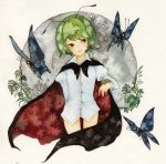  antenna bad_id bottomless butterfly cape green_eyes green_hair insect leaf long_sleeves pinkxxxna shirt short_hair solo touhou traditional_media watercolor_(medium) white_shirt wriggle_nightbug 