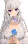  1girl akizone animal_ears bangs breasts collarbone eyebrows_visible_through_hair flower grey_hair hands_clasped highres jewelry long_hair long_sleeves looking_at_viewer original own_hands_together ribbon ring rose silver_hair simple_background smile solo violet_eyes wedding_band white_background 