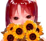 1girl covered_mouth flower kotatiyu looking_at_viewer original red_eyes redhead sanpaku simple_background solo sunflower white_background yellow_flower 