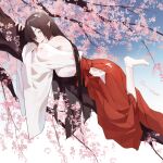 1girl bare_shoulders blue_eyes blue_sky branch brown_hair chajott64 character_request cherry_blossoms closed_mouth commentary gradient gradient_background hakama hakama_skirt japanese_clothes kimono lips long_hair looking_at_viewer lying miko on_stomach onmyoji outdoors pointy_ears red_skirt skirt sky socks solo white_background white_kimono white_legwear 