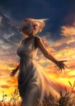  1girl breasts chabo_tatumi closed_eyes dark-skinned_female dark_skin dress elf highres jewelry medium_breasts necklace original outdoors pointy_ears short_hair sleeveless sleeveless_dress smile solo standing sunset tan white_dress white_hair 