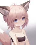  1girl absurdres animal_ears arknights bandeau bangs bare_shoulders blue_eyes blush chinese_commentary commentary_request eyebrows_visible_through_hair fox_ears fox_tail gradient gradient_background grey_background grey_hair highres looking_at_viewer partial_commentary short_hair solo strapless sussurro_(arknights) synring97 tail tube_top upper_body white_background 