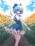  1girl absurdres blue_bow blue_eyes blue_hair blue_sky blush bow cirno clouds dirt_road flower highres ice ice_wings looking_at_viewer lyrinne neck_ribbon red_ribbon ribbon road short_hair sky smile solo sunflower touhou walking wings 