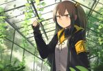  1girl bangs black_jacket breasts closed_mouth eyebrows_visible_through_hair girls_frontline greenhouse hinami047 jacket light_brown_eyes light_brown_hair long_hair looking_at_viewer neck_ribbon open_clothes open_jacket ribbon scar scar_across_eye shirt small_breasts solo ump45_(girls&#039;_frontline) white_shirt 