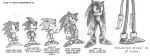  height_comparison monochrome sonic sonic_the_hedgehog truth 