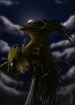  bird night no_humans pokemon pokemon_(creature) zapdos 