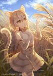  animal_ears animal_print bare_shoulders bow bowtie cat_(kemono_friends) cat_ears cat_girl cat_print cat_tail collar commentary_request elbow_gloves extra_ears eyebrows_visible_through_hair gloves high-waist_skirt kemono_friends kemono_friends_3 light_brown_hair namihaya official_art print_gloves print_legwear print_neckwear print_skirt red_collar shirt short_hair skirt sleeveless tail thigh-highs translation_request wheat wheat_field white_shirt yellow_eyes zettai_ryouiki 