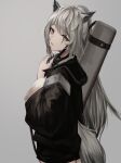  1girl :o absurdres animal_ears arknights bangs black_jacket cowboy_shot fang from_side grey_background grey_eyes hair_ornament highres holding jacket lappland_(arknights) long_hair looking_at_viewer looking_to_the_side mea_(hwaksal) scar scar_across_eye scar_on_face silver_hair simple_background solo very_long_hair wolf_ears 