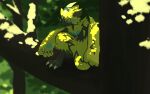  blurry branch claws closed_mouth commentary_request day highres kneeling looking_down mythical_pokemon one-hour_drawing_challenge outdoors pokemon pokemon_(creature) rend solo yellow_fur zeraora 