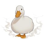  animal animal_focus bird commentary duck english_commentary full_body highres looking_at_viewer nilan_1999 no_humans original simple_background solo standing steam white_background 