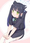  1girl animal_ear_fluff animal_ears bangs black_dress black_hair blue_archive blunt_bangs china_dress chinese_clothes dress green_eyes hands_on_own_knees highres hudepen_kaiho long_hair short_sleeves shun_(blue_archive) sitting smile solo thigh-highs tiger_ears tiger_girl twintails white_legwear 