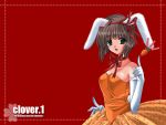  animal_ears bunny_ears bunnygirl clover clover_(game_cg) highres nishimata_aoi red wallpaper 
