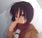  black_eyes black_hair highres jacket looking_at_viewer mikasa_ackerman scarf shingeki_no_kyojin shirogane_haku short_hair 