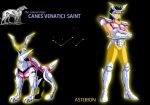  armor canes_venatici_asterion cloth constellation dog hound hound_dogs knights_of_the_zodiac male mythology saint_seiya silver 