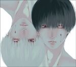  2boys alternate_eye_color bangs black_hair blood blood_on_face closed_mouth commentary_request dual_persona expressionless glowing glowing_eye grey_hair kaneki_ken koujima_shikasa looking_at_viewer male_focus multiple_boys portrait red_eyes simple_background tokyo_ghoul upside-down white_background 